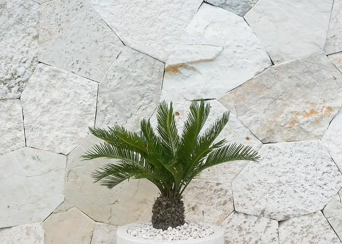 Soul Garden نوسا دوا