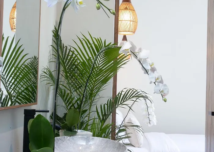 فيلة Soul Garden *